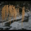 20051229_035